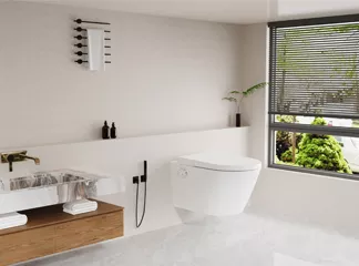 Smart Bidet Toilet Seat B2B Buying Guide: Complete Analysis of Retrofit Multi-Function Toilet Seats