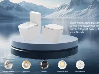 Wall Mount Smart Toilet Buying Guide: Best Choice for Global Wholesale, Hotels & Homes