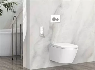 A Global Glossary of Smart Toilets: From Major Languages to Minor Tongues