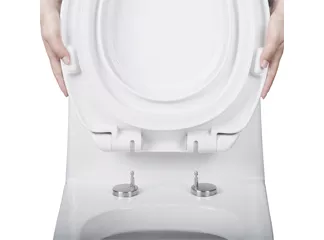 How Do Quick-Release Toilet Seat Hinges Work?