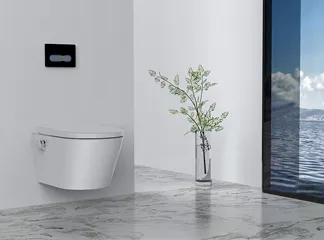 The Smart Toilet Landscape: Insights for B2B Partners – Oceanwell's Perspective