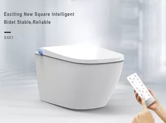 Oceanwell E401 Rimless Shower Toilet