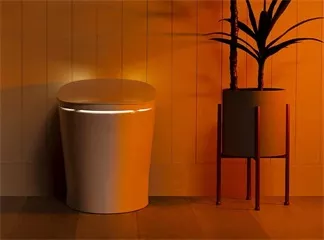 Compelling Reasons to Invest in an Electronic Bidet
