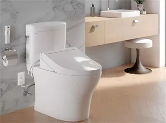 Will the Water from an Electronic Bidet Contaminate Sink and Shower?
