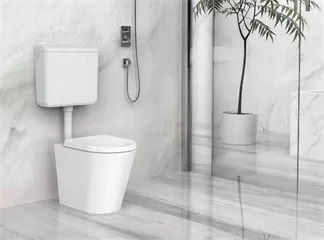 ABS Exposed Cistern with Dual Flushing