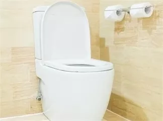 Do I Need to Use a Water Filter with My Electronic Bidet?
