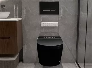 Electronic Bidet for Prosthetic Users