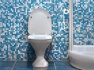 Electronic Bidet Misconception: Splash-Proof