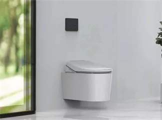 Electronic Bidet Seats and Bathroom Design: Combining Functionality with Style