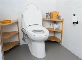 Electronic Bidet: Relieve Irritable Bowel Syndrome