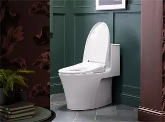 Electronic Bidet as Postoperative Bathroom Recovery Aid