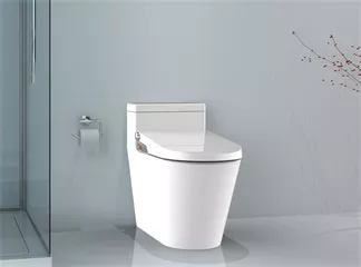 How to Get the Most Out of Your New Electronic Bidet
