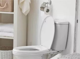 Why is My Toilet Overflowing?