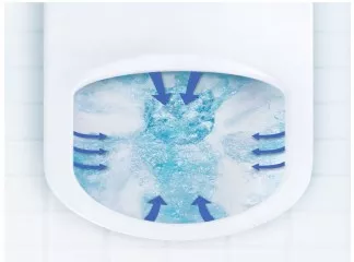 Two Groundbreaking Flushing Systems