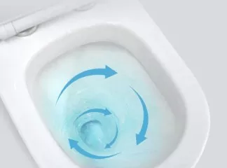 What You Need to Know about Toilet Flushing Systems