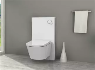 Reason for Having Two Buttons on the Flush Plate