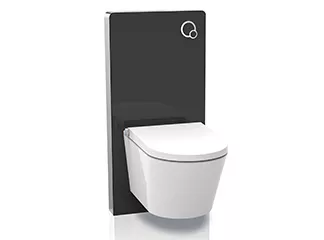 Smart toilet purchase tips