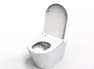 Are Rimless Toilets Worth It?