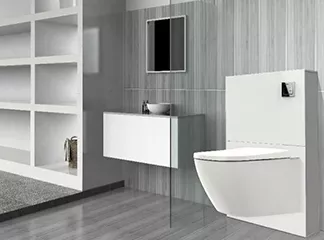 Who Invented the Flush Toilet?