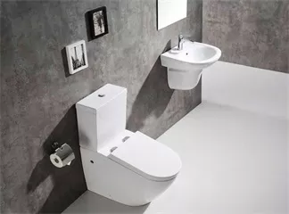 The History of the Bidet