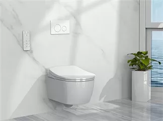 A Fire Suddenly Broke out When Someone was Using the Smart Toilet