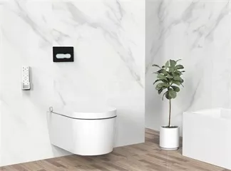 Bidet Myth: Bidets are only for the “Rich”