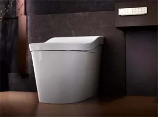 Future prospects and opportunities for electric bidets and smart toilets