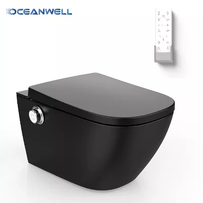 electronic bidet toilet seat