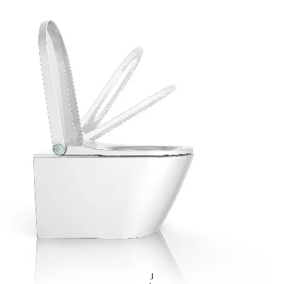 electronic bidet toilet seat