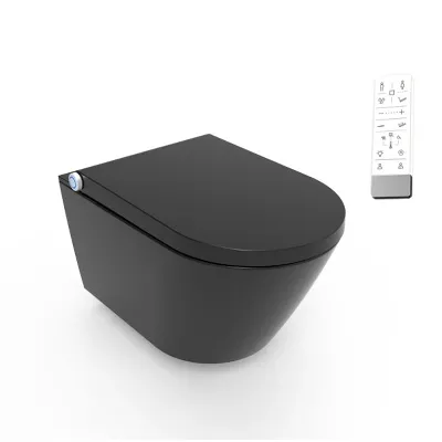 electronic bidet toilet seat