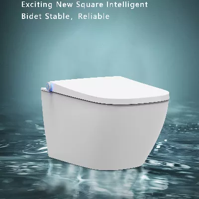 electronic bidet toilet seat