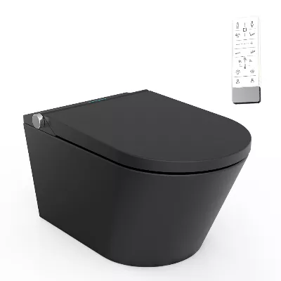 electronic bidet toilet seat
