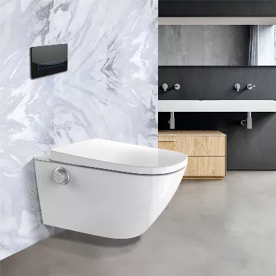 electronic bidet toilet seat