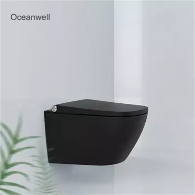 electronic bidet toilet seat