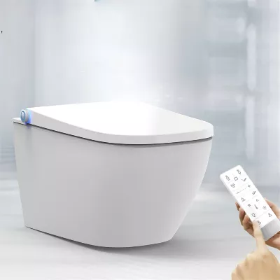 electronic bidet toilet seat