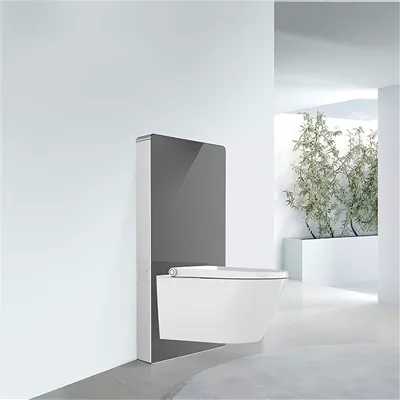 electronic bidet toilet seat