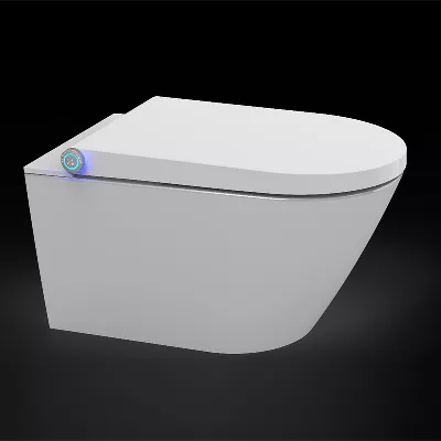 electronic bidet toilet seat