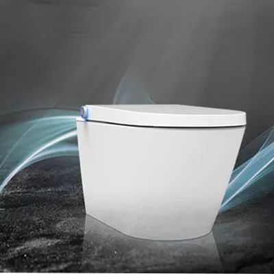electronic bidet toilet seat