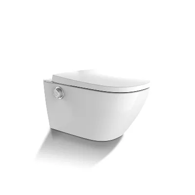 electronic bidet toilet seat