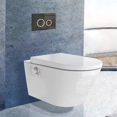 electronic bidet toilet seat