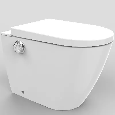 electronic bidet toilet seat