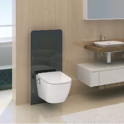 electronic bidet toilet seat