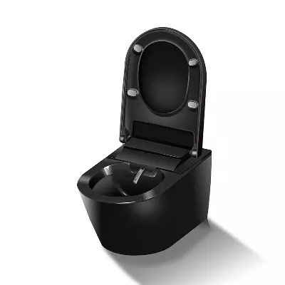 electronic bidet toilet seat
