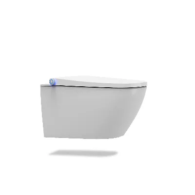 electronic bidet toilet seat