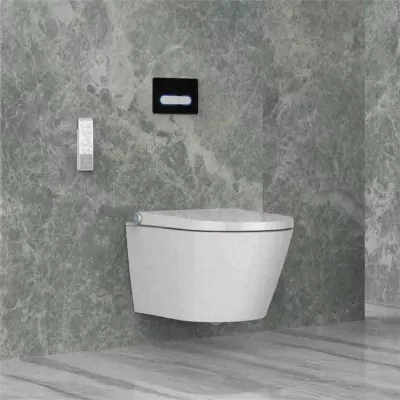 electronic bidet toilet seat