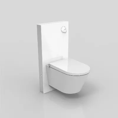 electronic bidet toilet seat