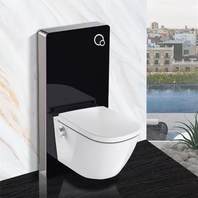 electronic bidet toilet seat
