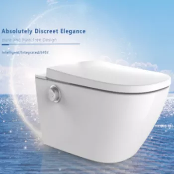 electronic bidet toilet seat