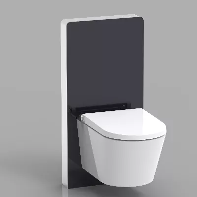electronic bidet toilet seat