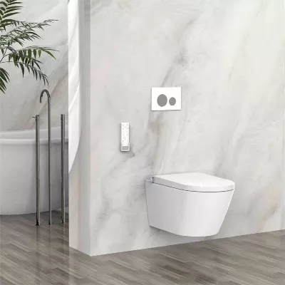 electronic bidet toilet seat